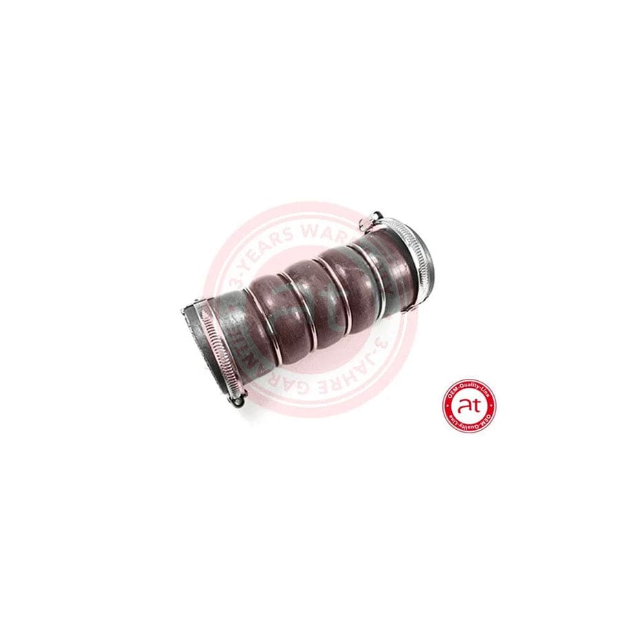 at autoteile germany At20648 Charger Intake Hose