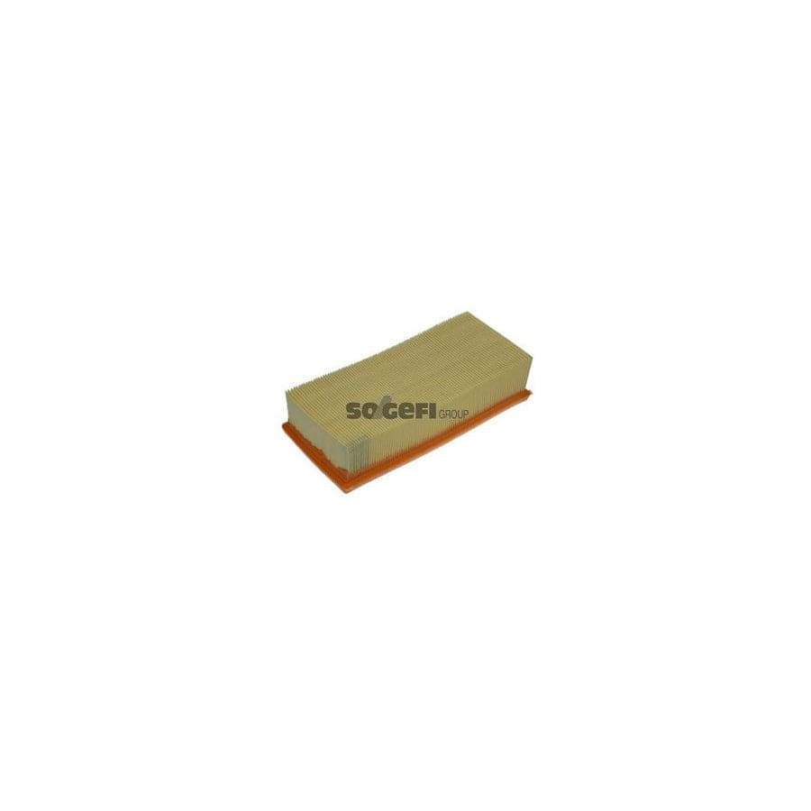 Purflux A1307 Air Filter
