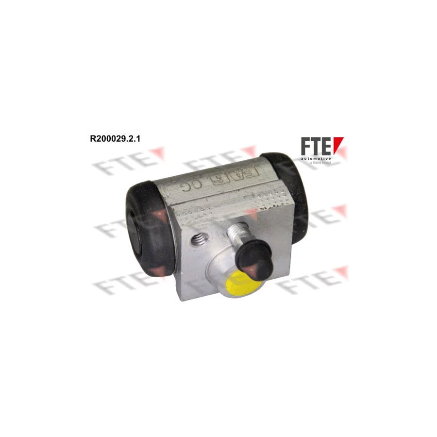 FTE R200029.2.1 Wheel Brake Cylinder
