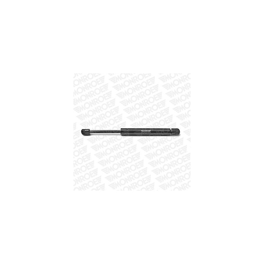 Monroe Ml6160 Bonnet Strut