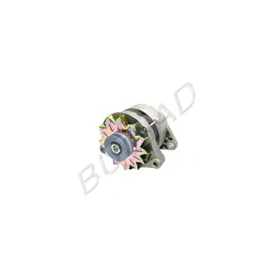 BUGIAD Bsp22618 Alternator