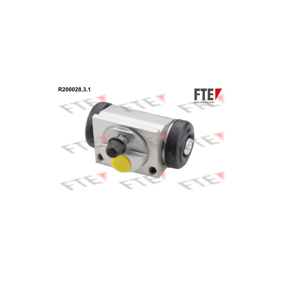FTE R200028.3.1 Wheel Brake Cylinder