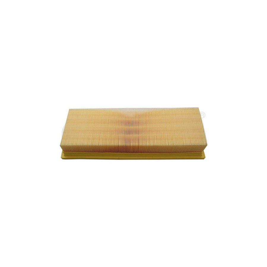 Vika 11290207501 Air Filter