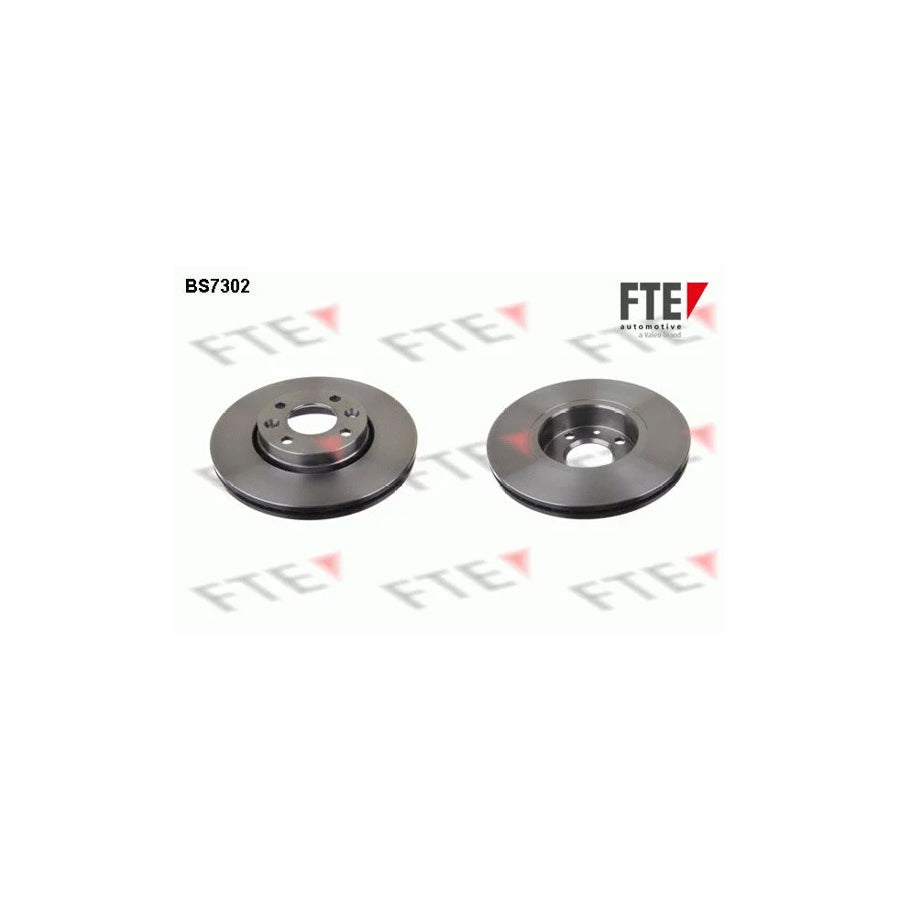 FTE Bs7302 Brake Disc