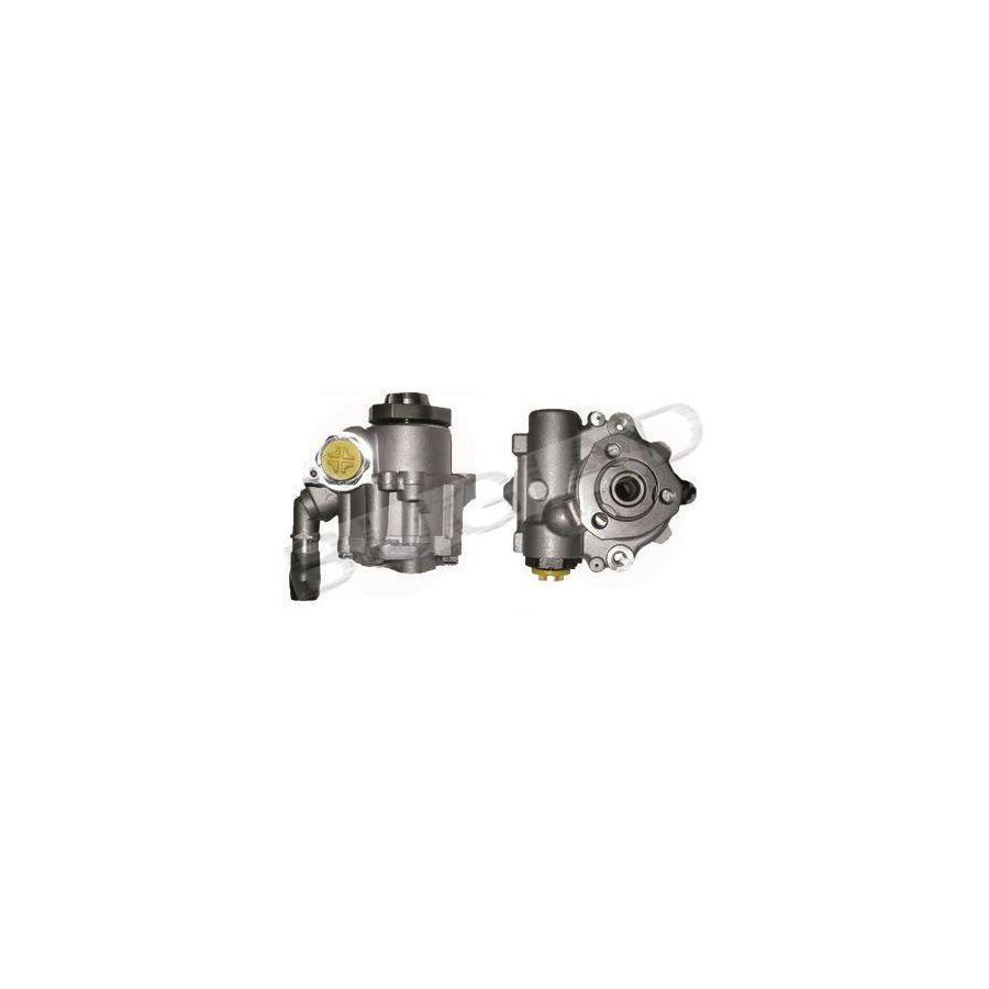 BUGIAD Bsp22658 Power Steering Pump for VW Lt