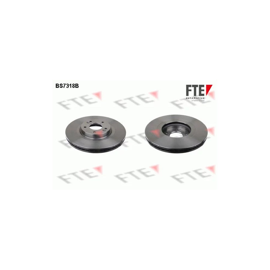 FTE Bs7318B Brake Disc