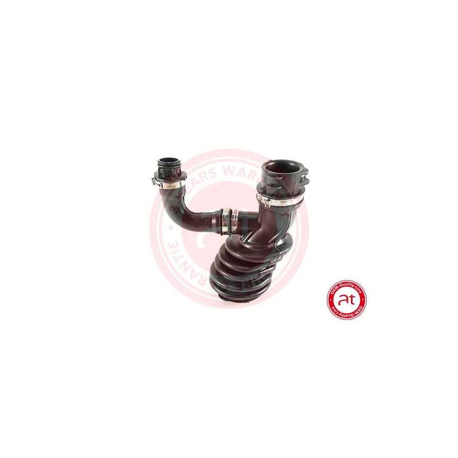 at autoteile germany At20721 Intake Pipe, Air Filter