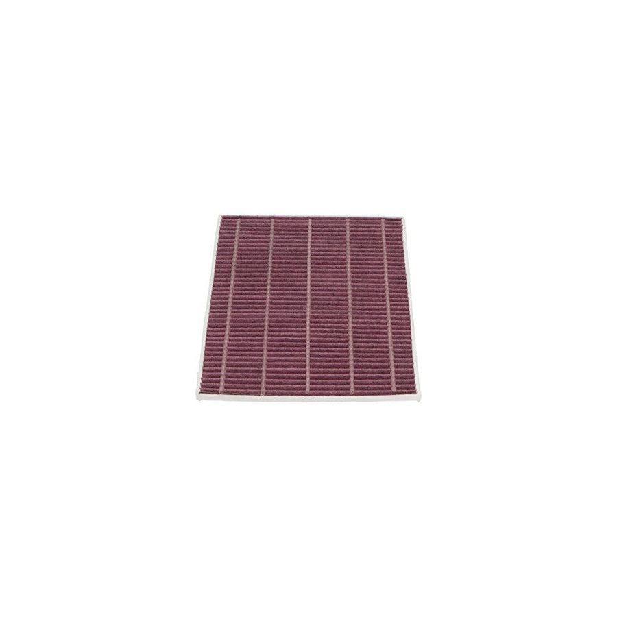 KAVO PARTS TC-1021X Pollen Filter