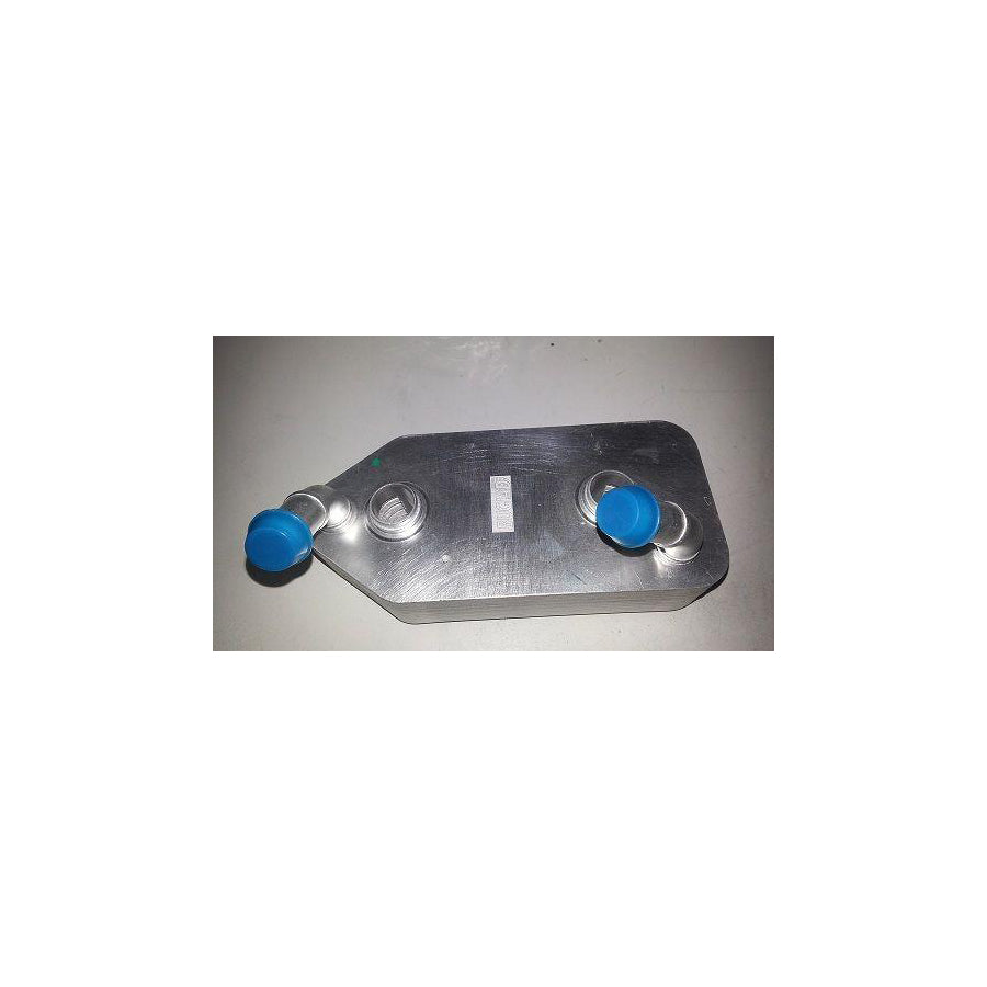 BUGIAD Bsp22657 Engine Oil Cooler