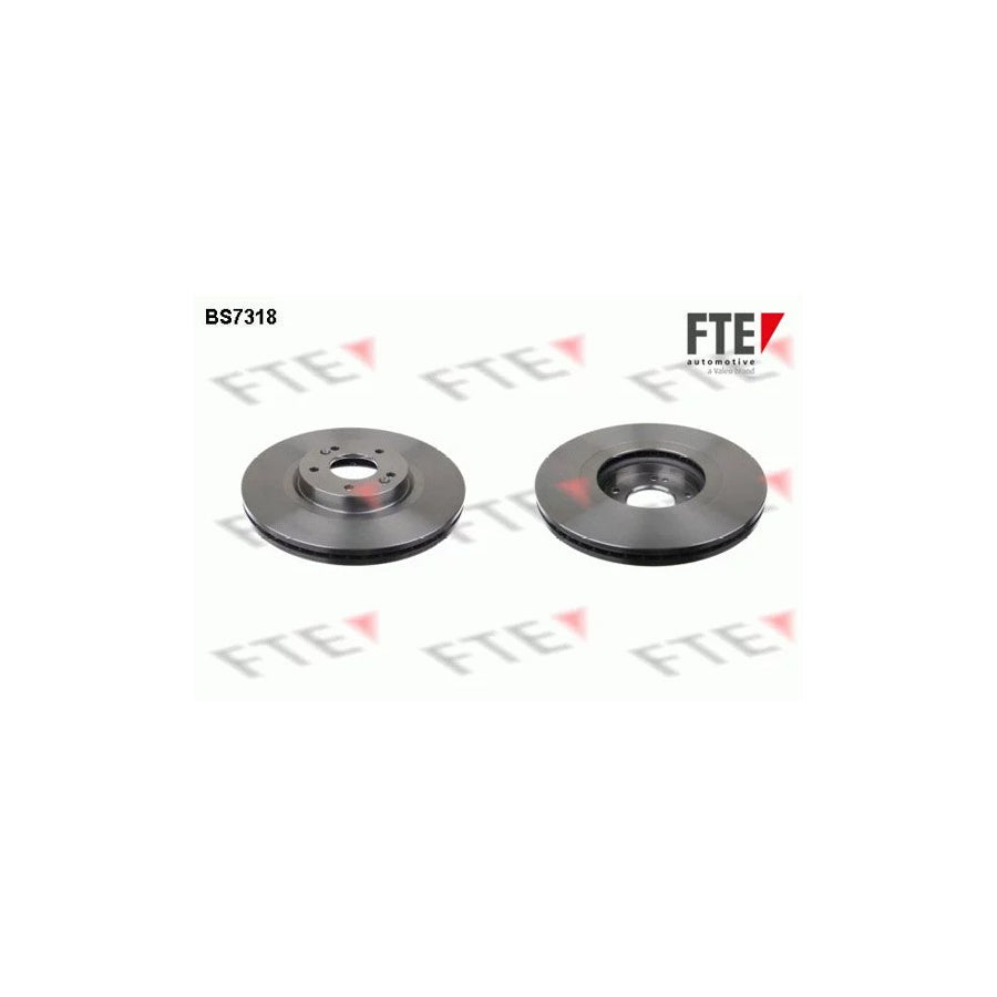FTE Bs7318 Brake Disc