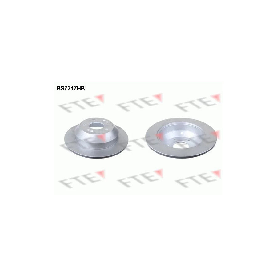 FTE Bs7317Hb Brake Disc