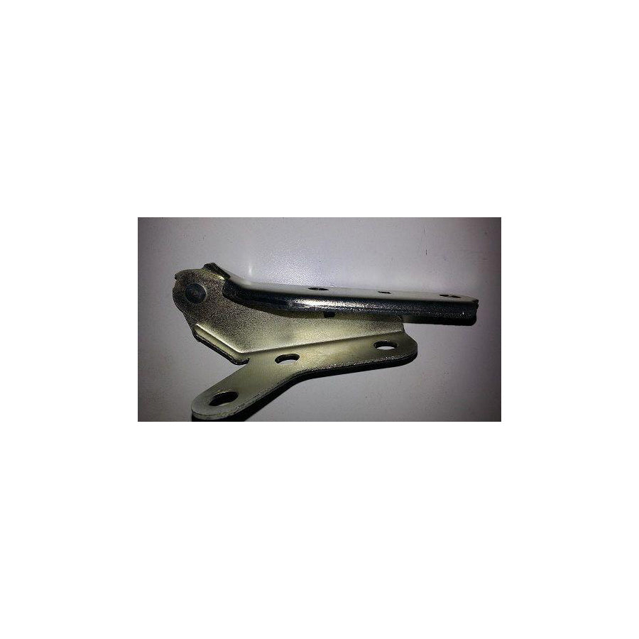 BUGIAD Bsp20986 Hinge, Bonnet for VW Polo