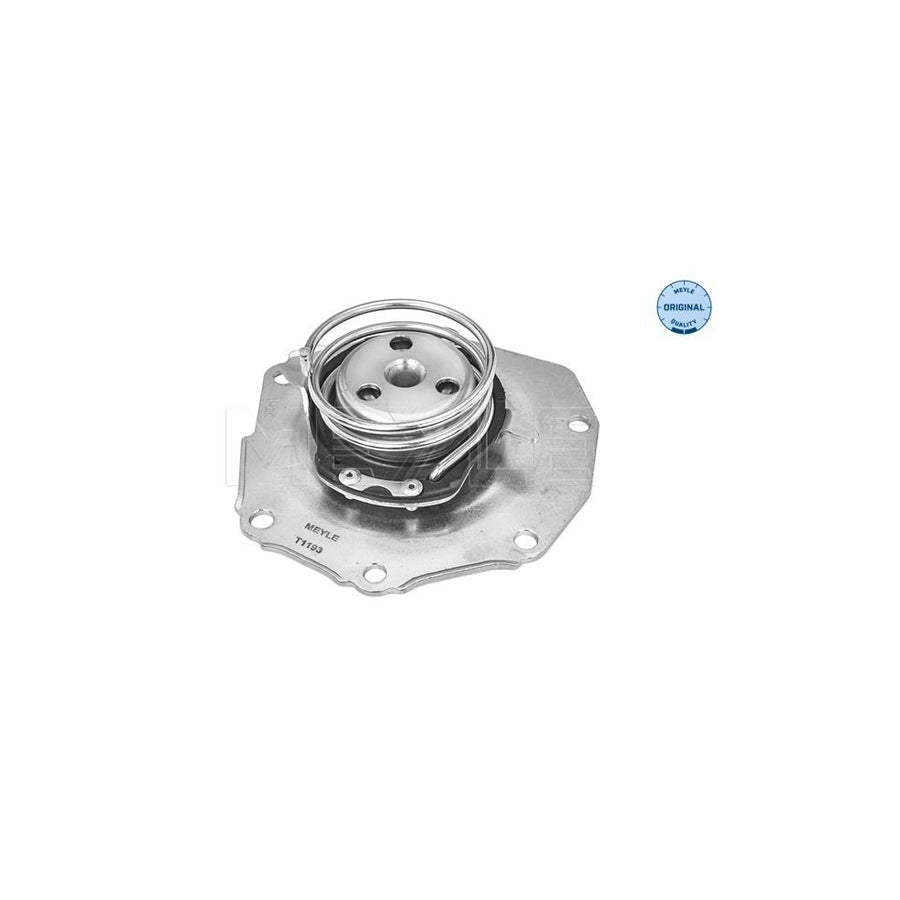 Meyle 513 220 0006 Water Pump