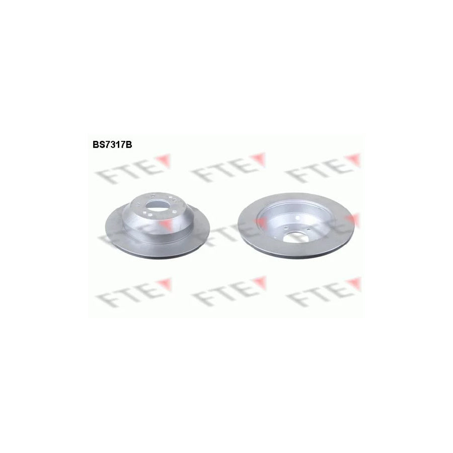 FTE Bs7317B Brake Disc