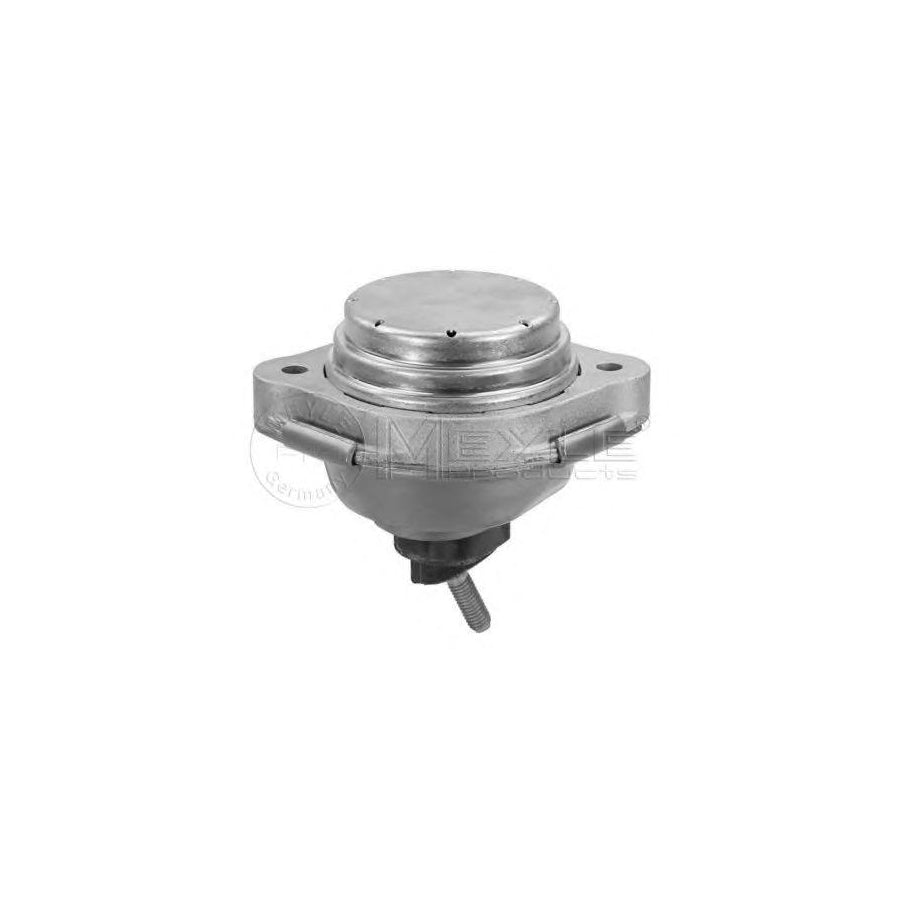 Meyle 300 221 1111 Engine Mount For BMW X3 (E83)