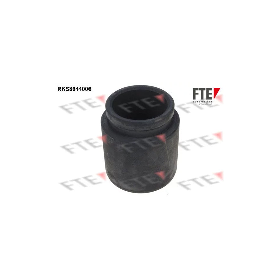 FTE Rks8644006 Piston, Brake Caliper