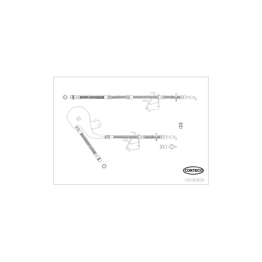 Corteco 19036856 Brake Hose