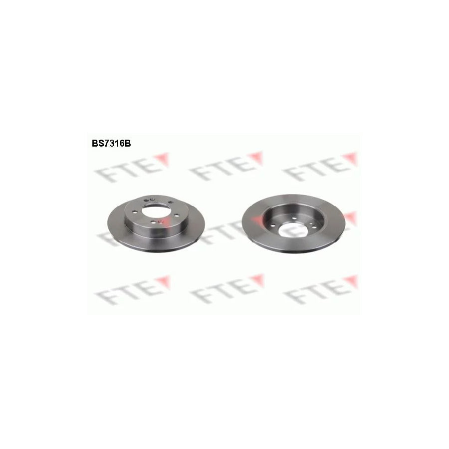 FTE Bs7316B Brake Disc