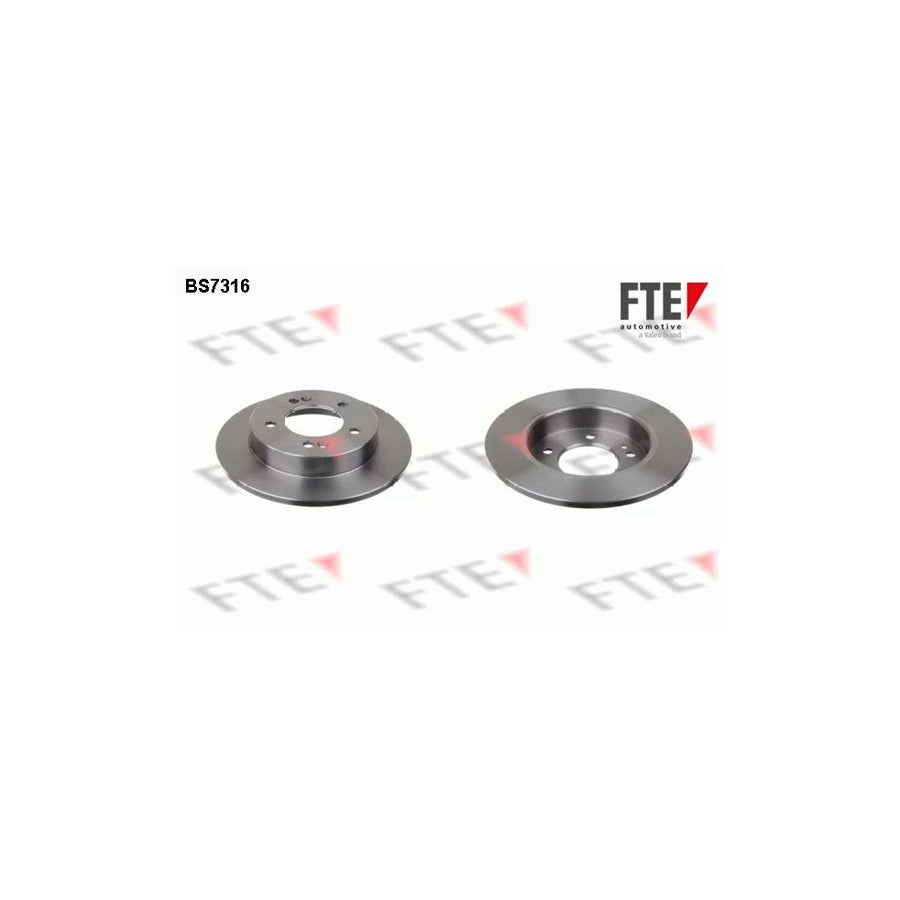 FTE Bs7316 Brake Disc