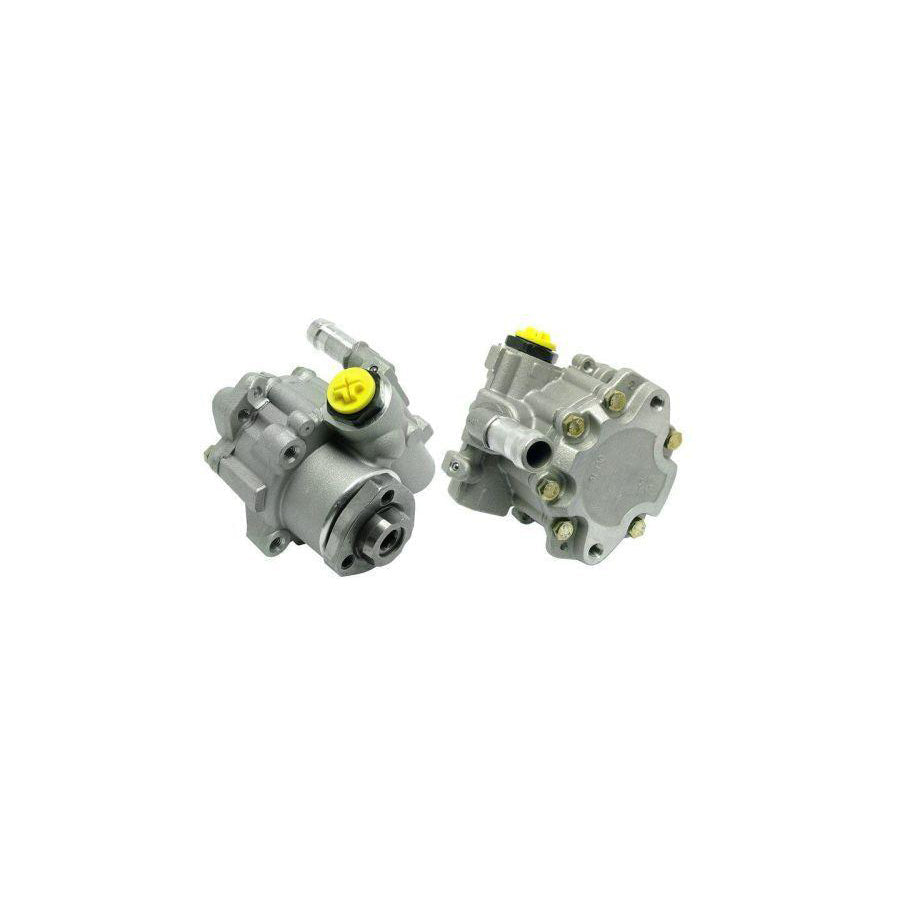 BUGIAD Bsp22639 Power Steering Pump