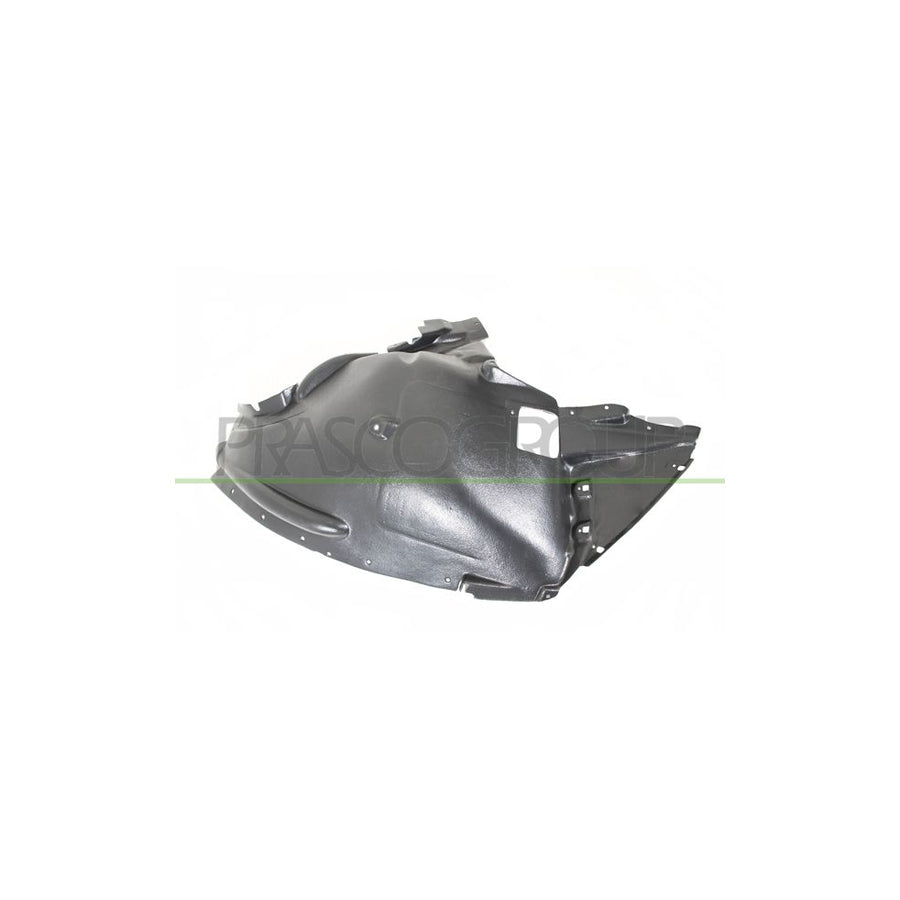 Prasco BM8403603 Panelling, Mudguard for BMW X6 (E71, E72)