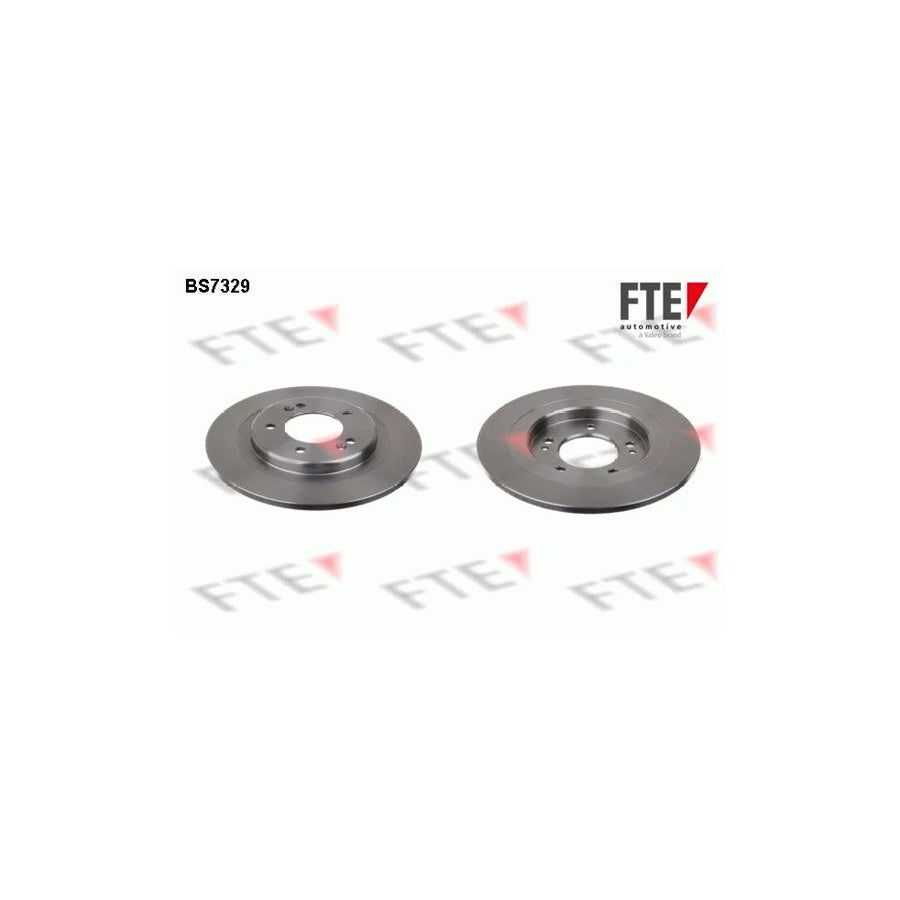 FTE Bs7329 Brake Disc