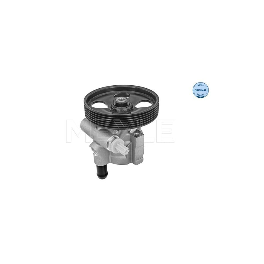 Meyle 16-16 631 0005 Power Steering Pump