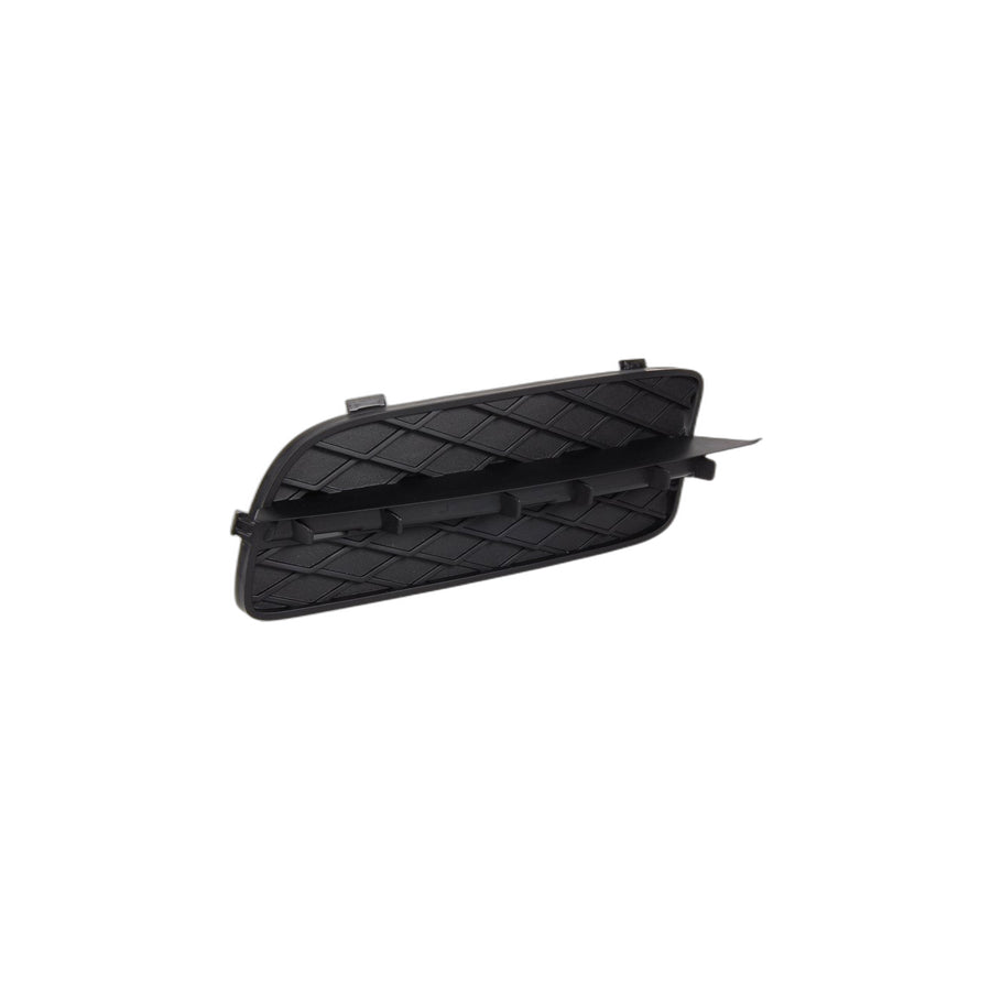 Genuine BMW 51117159593 E70 Closed Grid, Left (Inc. X5) | ML Performance US Car Parts