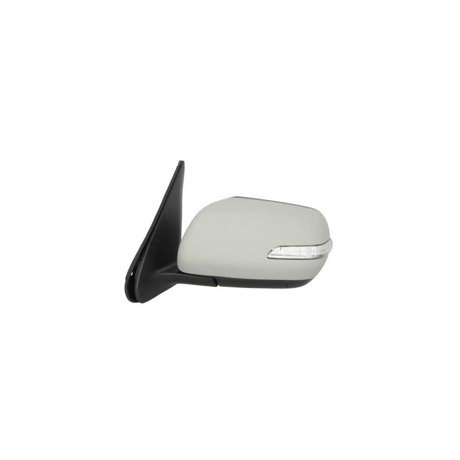 Blic 5402-18-2002417P Wing Mirror For Suzuki Grand Vitara II Off-Road (Jt, Te, Td)