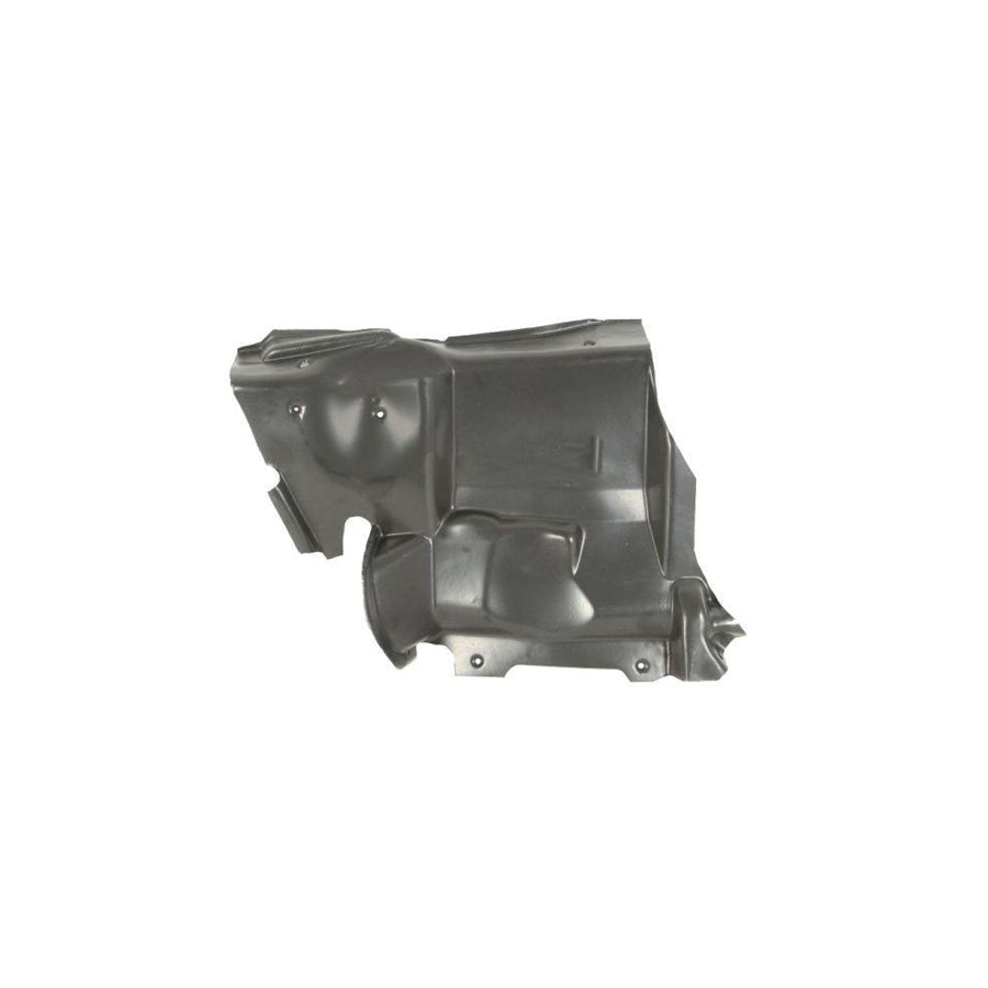 Blic 6601-05-0000001P Engine Cover