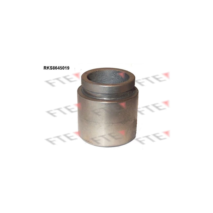 FTE Rks8645019 Piston, Brake Caliper