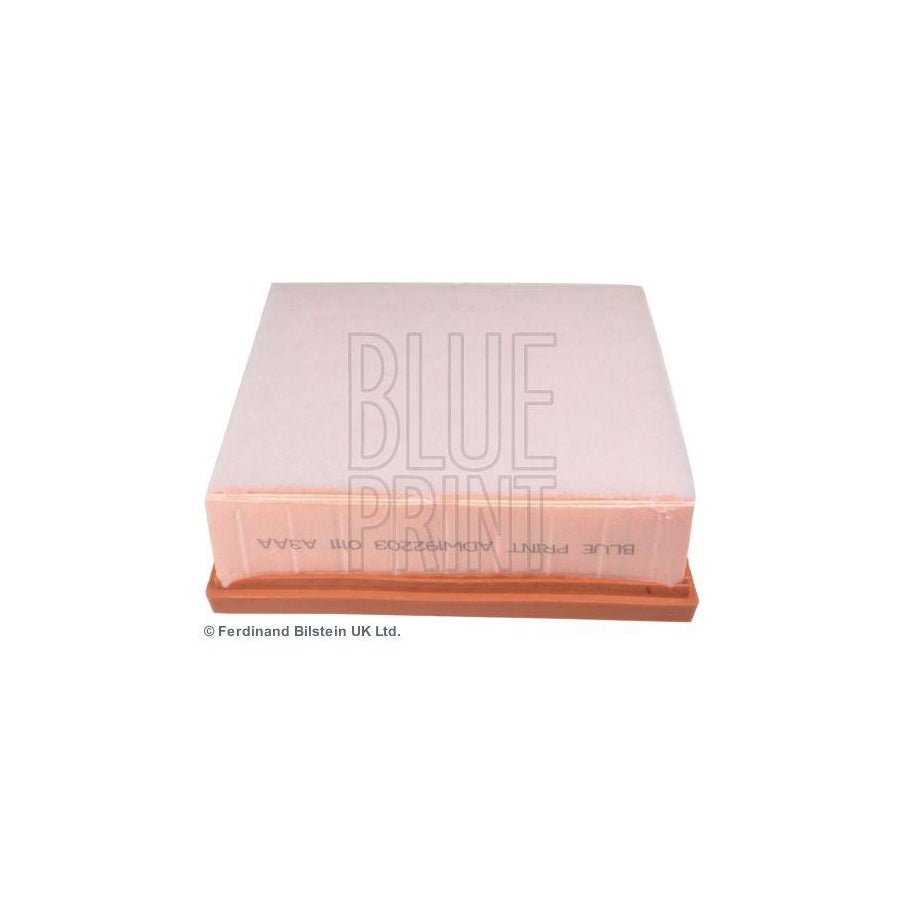 Blue Print Adw192203 Air Filter