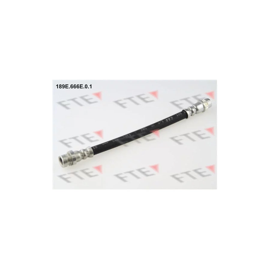 FTE 189E.666E.0.1 Brake Hose