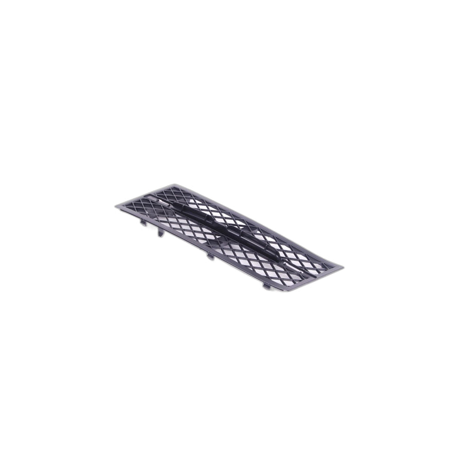 Genuine BMW 51117200697 Grill, Air Intake, Open, Left (Inc. 530i, 530dX & 535i) | ML Performance US Car Parts