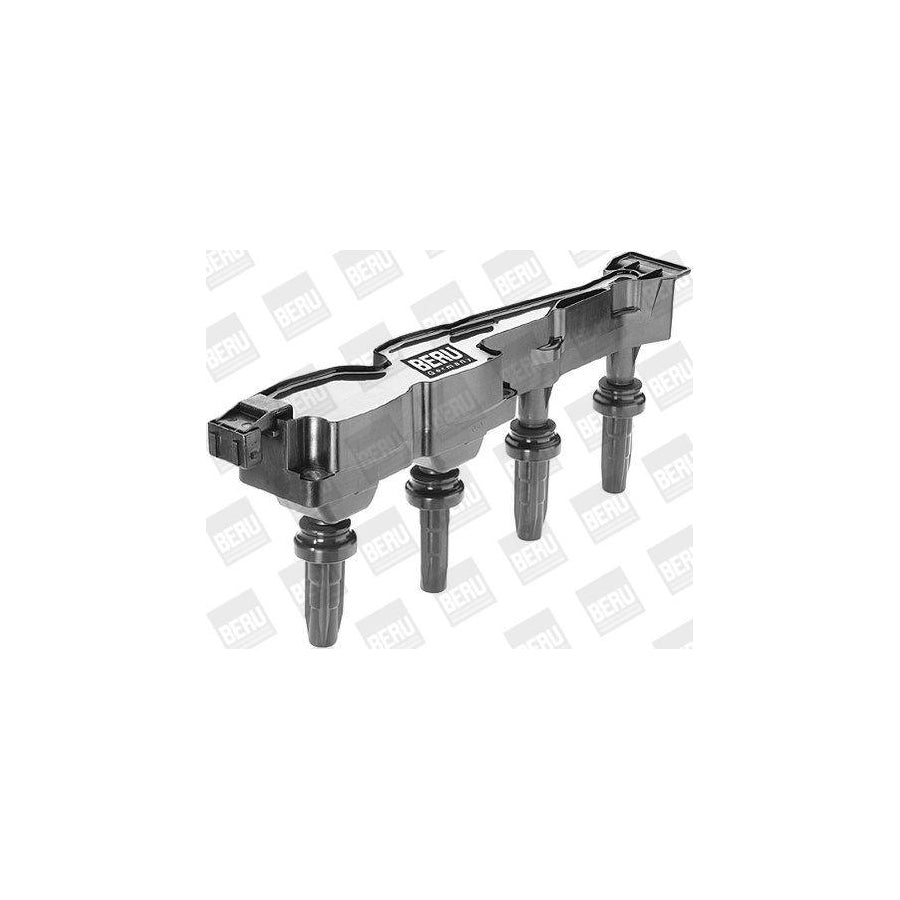 Beru Ger075 Alternator Regulator