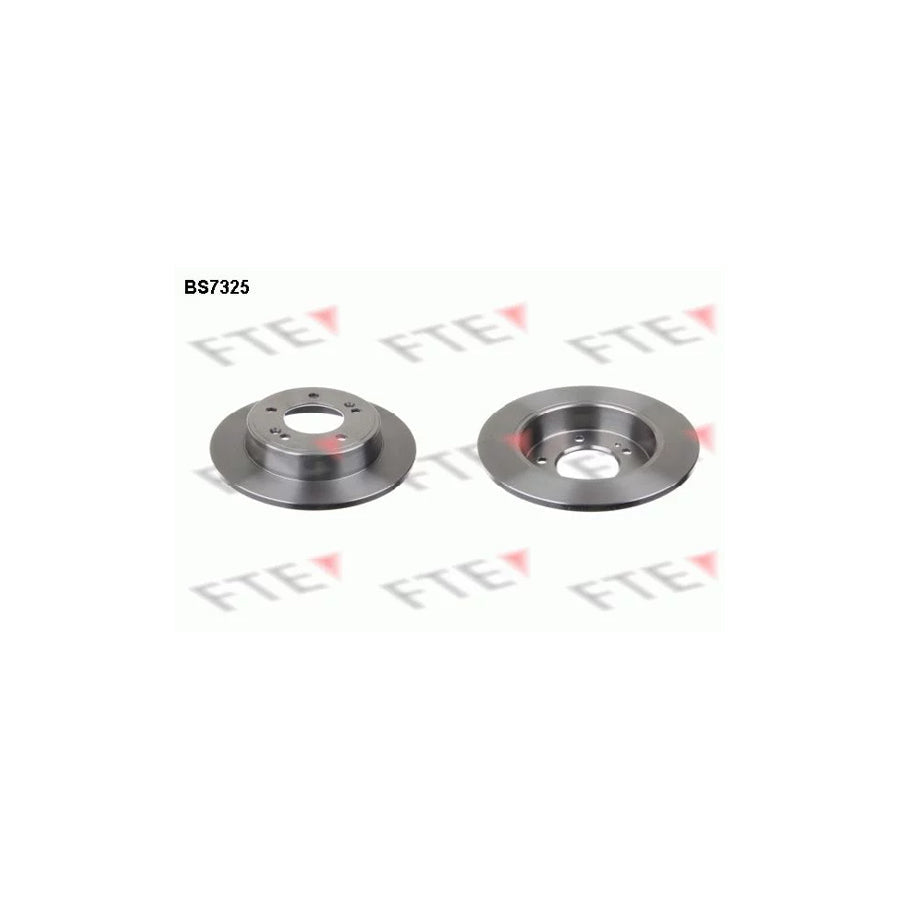 FTE Bs7325 Brake Disc