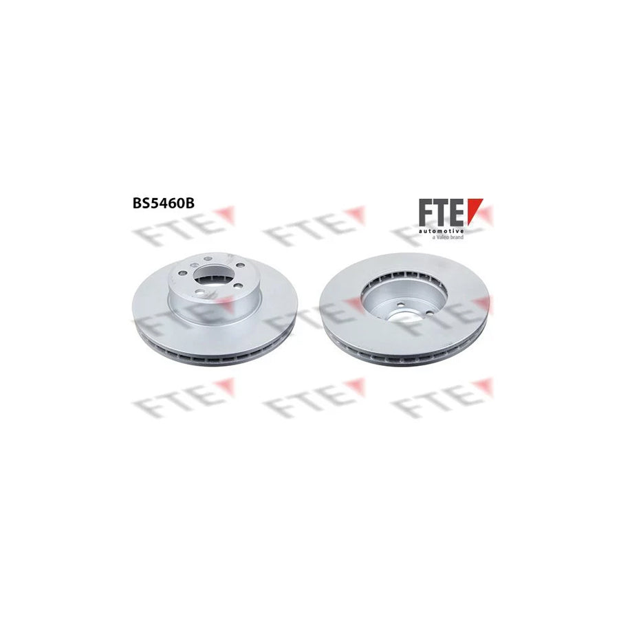 FTE Bs5460B Brake Disc for BMW 7 (E65, E66, E67)