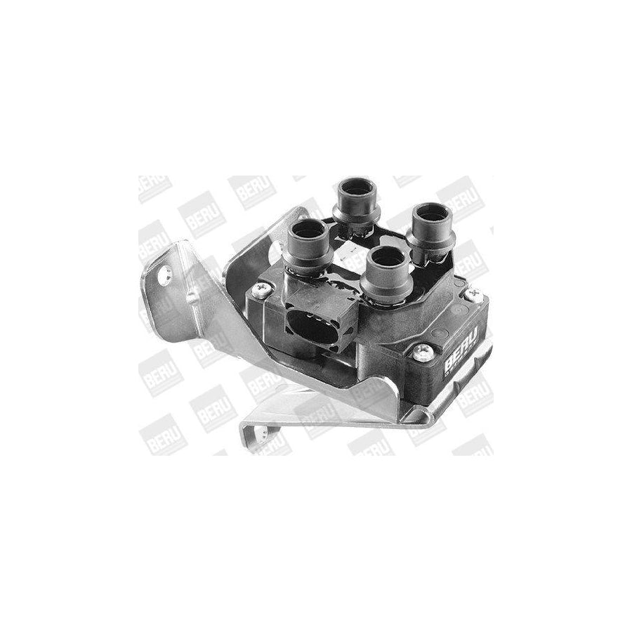 Beru Ger074 Alternator Regulator