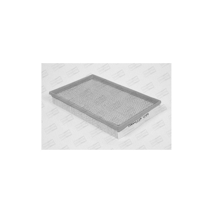 Champion U734/606 Air Filter