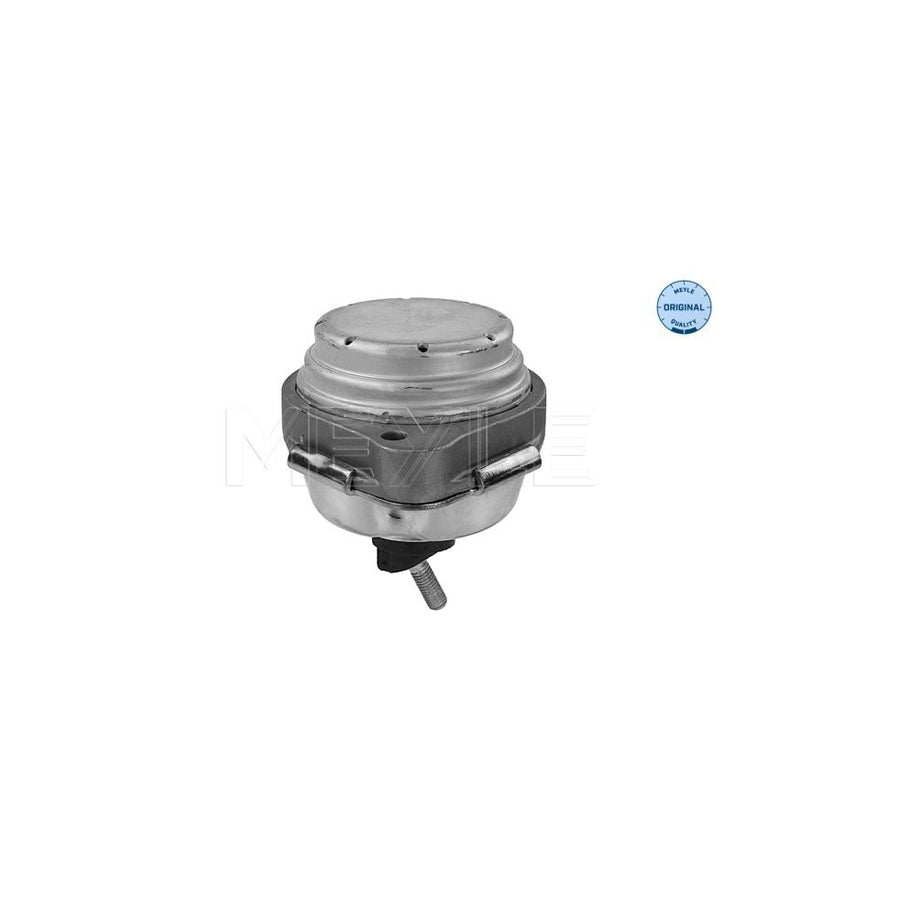 Meyle 300 221 1130 Engine Mount For BMW X3 (E83)