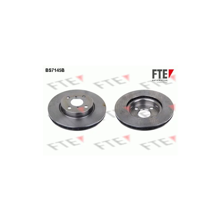 FTE 9082029 Brake Disc