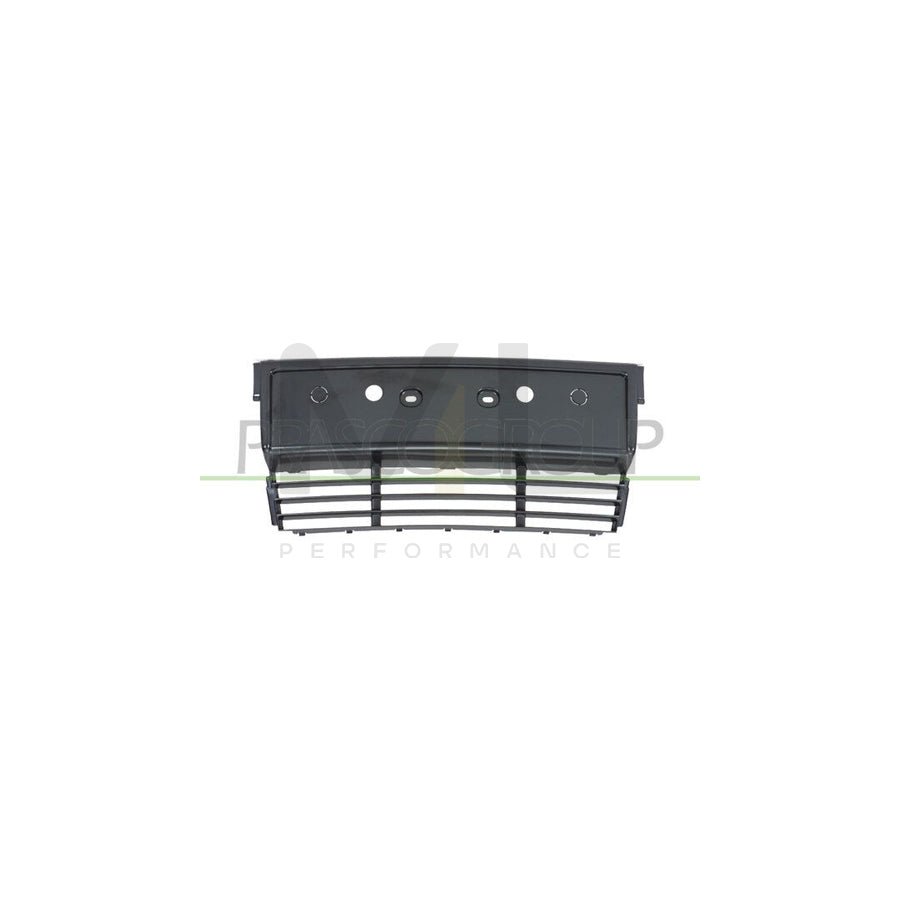 PRASCO BM0421539 Number plate holder for BMW 5 Series Front, Black, frameless