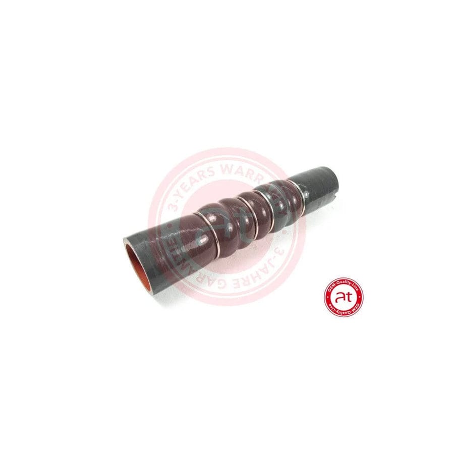 at autoteile germany At20905 Charger Intake Hose