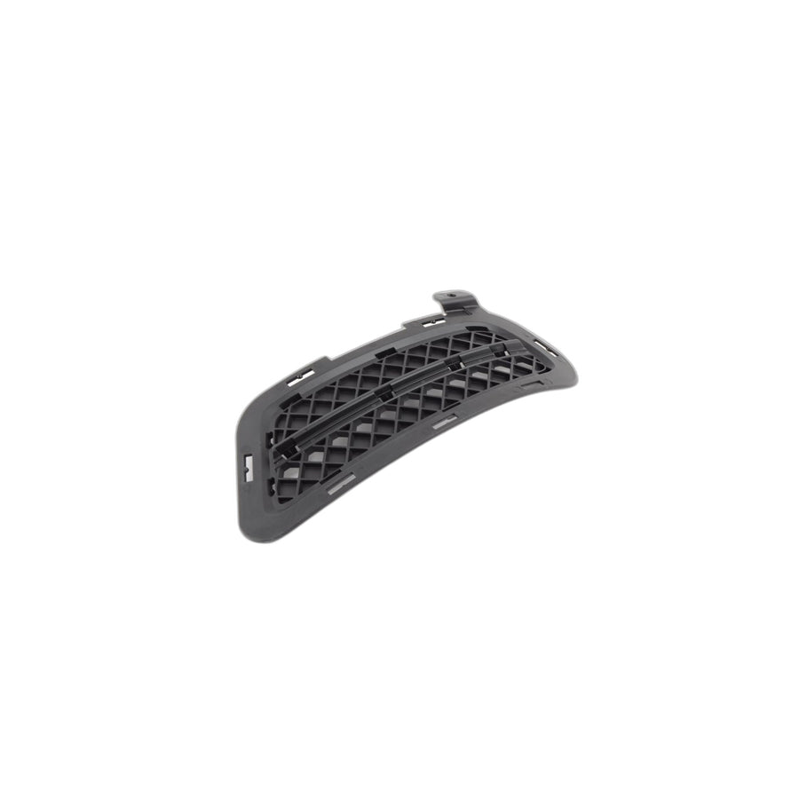 Genuine BMW 51117203799 E89 Closed Grid, Left (Inc. Z4) | ML Performance UK Car Parts