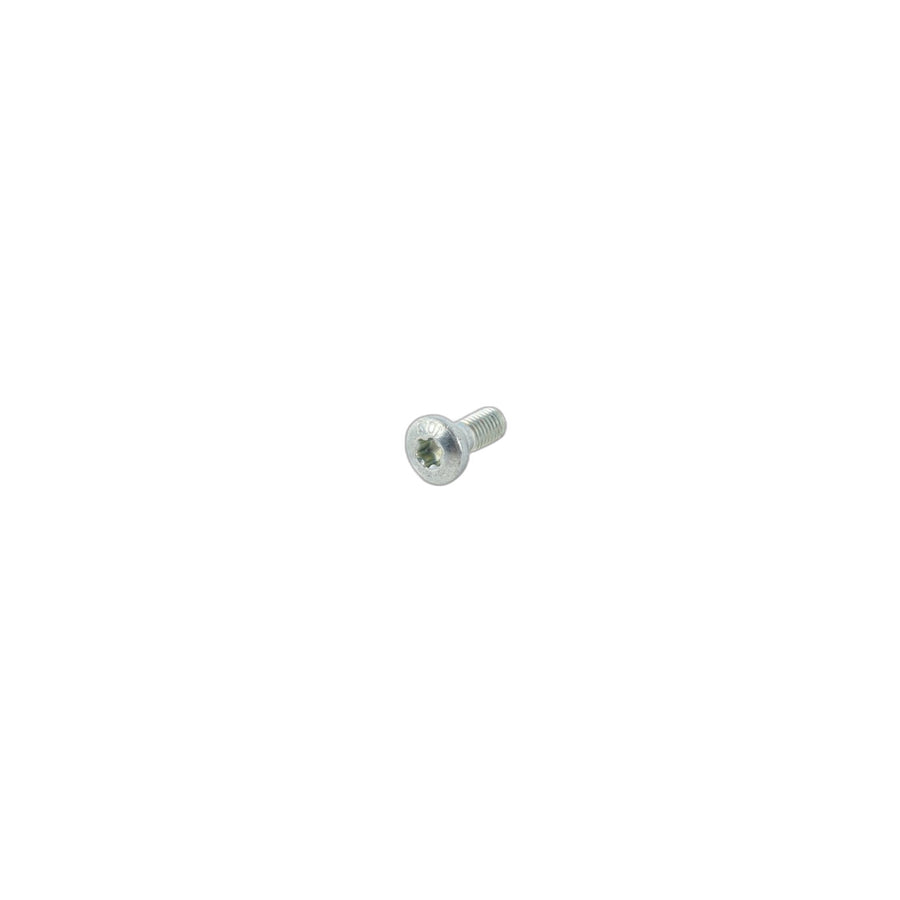 Genuine BMW 52108099039 F23 F80 E60 Screw M8X21 T40 (Inc. X5 3.0i) | ML Performance US Car Parts