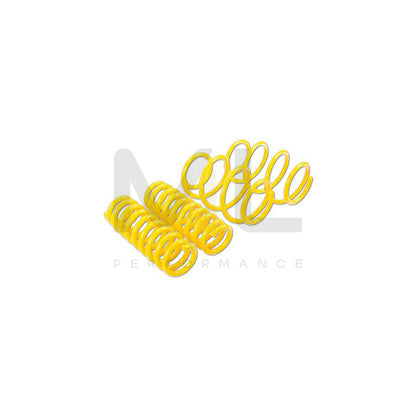 ST Suspensions 28290051 Renault Megane II SPORT SPRINGS
