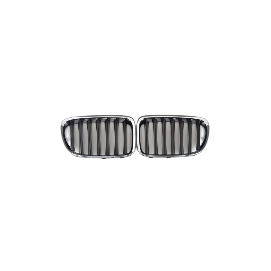 Genuine BMW 51117347667 E84 Set Of Trim Grills, Front BASIS (Inc. X1 35iX, X1 20dX & X1 18d) | ML Performance US Car Parts