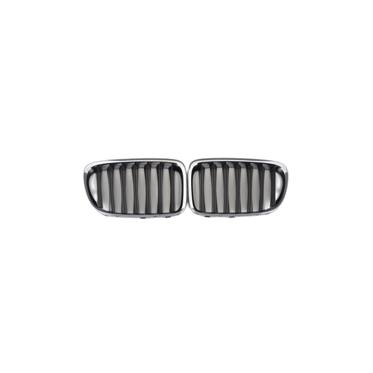 Genuine BMW 51117347667 E84 Set Of Trim Grills, Front BASIS (Inc. X1 35iX, X1 20dX & X1 18d) | ML Performance US Car Parts