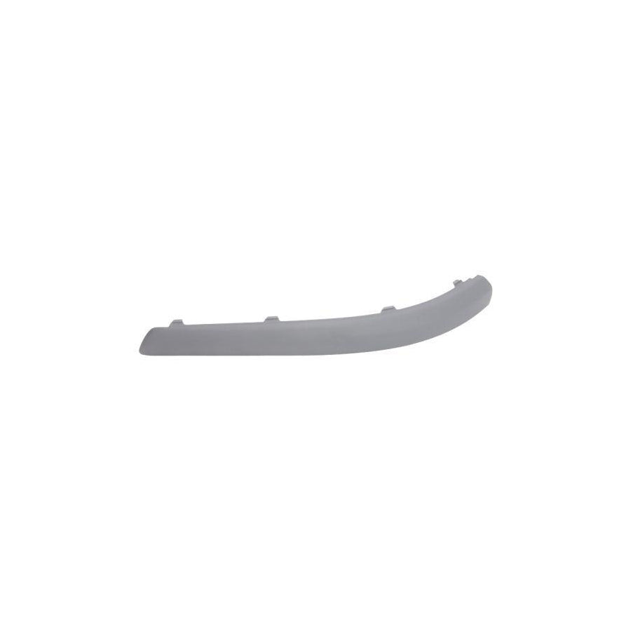Blic 5513-00-2533979P Bumper Moulding For Ford Focus