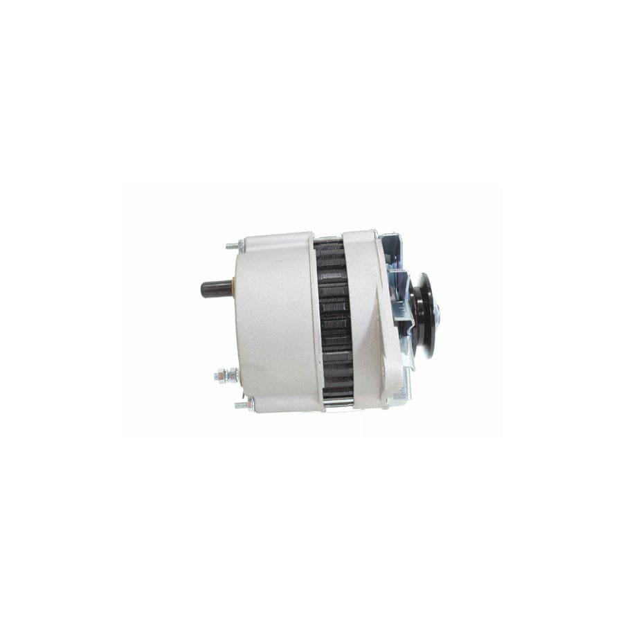 Alanko 10441761 Alternator